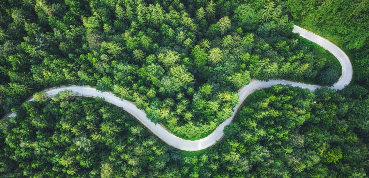 Arial view of a road winding through a forest of trees.